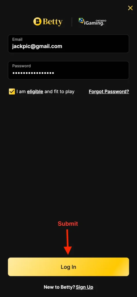 login process fourth step