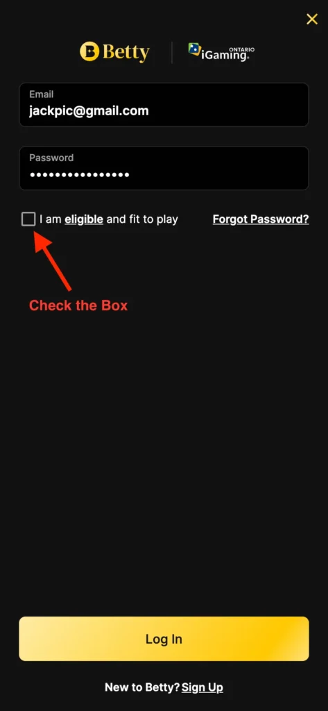 login process third step